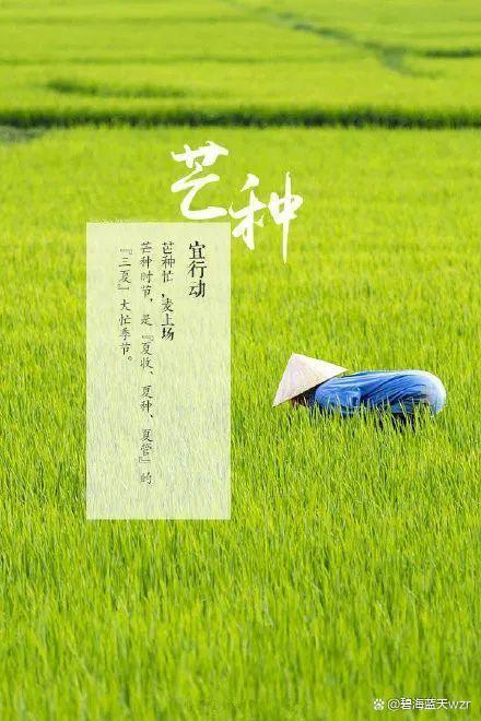 【北美翰苑分享社格律诗词精品鉴赏】第三十五期（周刊）（图29）