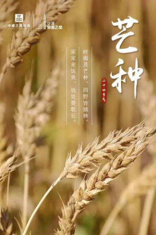 芒种‖巴彦诗协诗词卷【237】(图2)