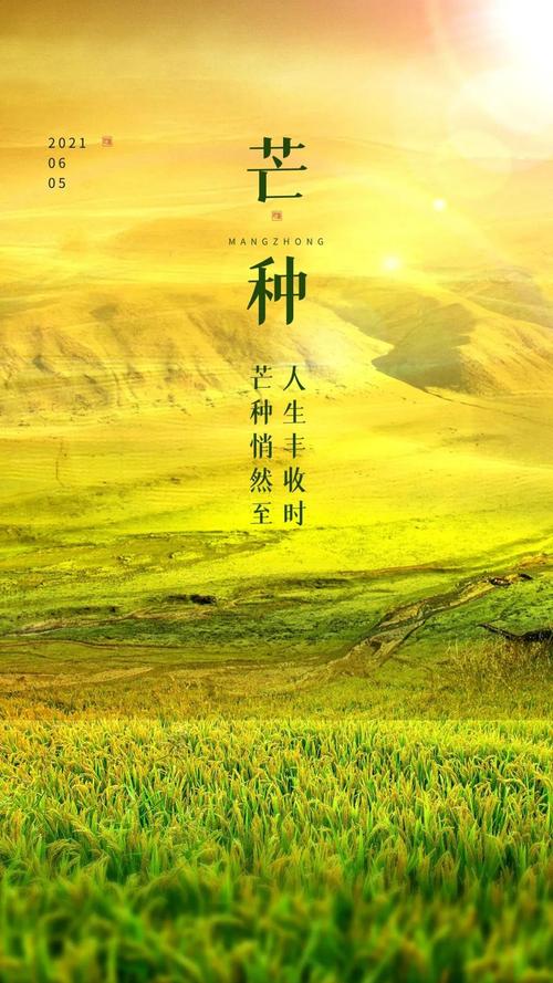 芒种寄情