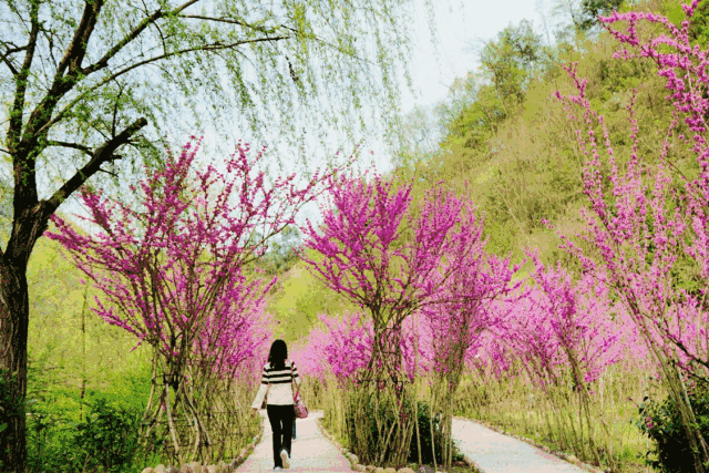 《中国爱情诗刊》 【中国爱 情诗人档案】（第4540期）山西诗人：李星的诗（图3）