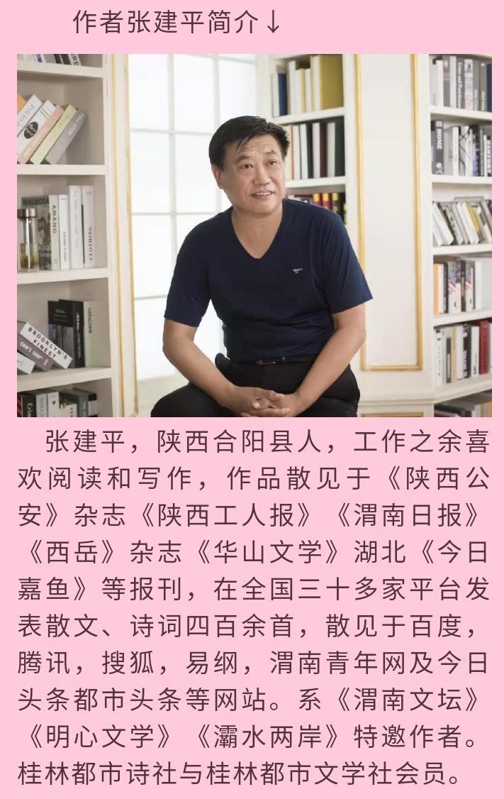 张建平婉约唯美《眼儿媚》三章｜金牌主播冰雪彩霞｜中国桂林都市诗社706期（图5）