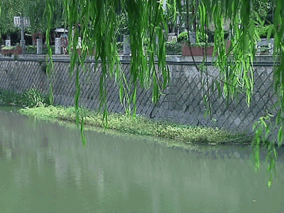 *诗词小辑！ 作者 王爱君 河北秦皇岛人【冰心文化传媒】（图3）