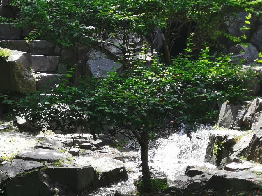 江南诗絮《新诗辑》作者-王佐臣(图10)