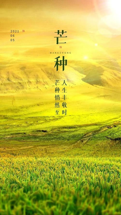 联机全球发布于金奎精品诗歌（图36）