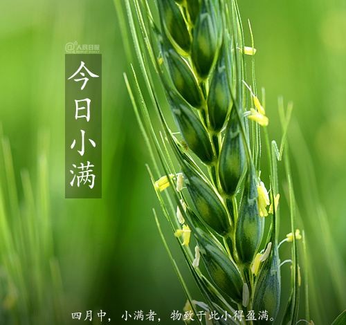 *诗词小辑！ 作者 王爱君 河北秦皇岛人【冰心文化传媒】（图7）