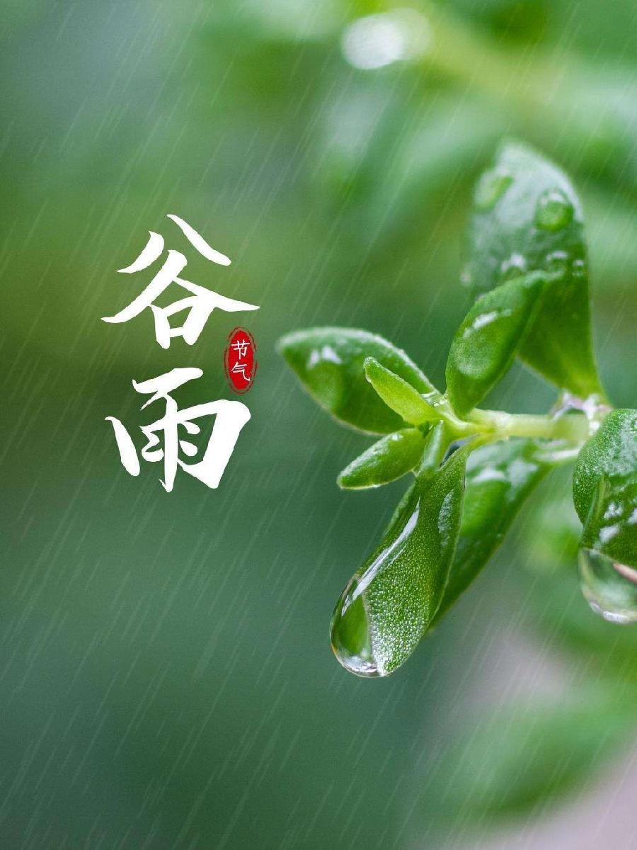 *诗词小辑！ 作者 王爱君 河北秦皇岛人【冰心文化传媒】（图6）