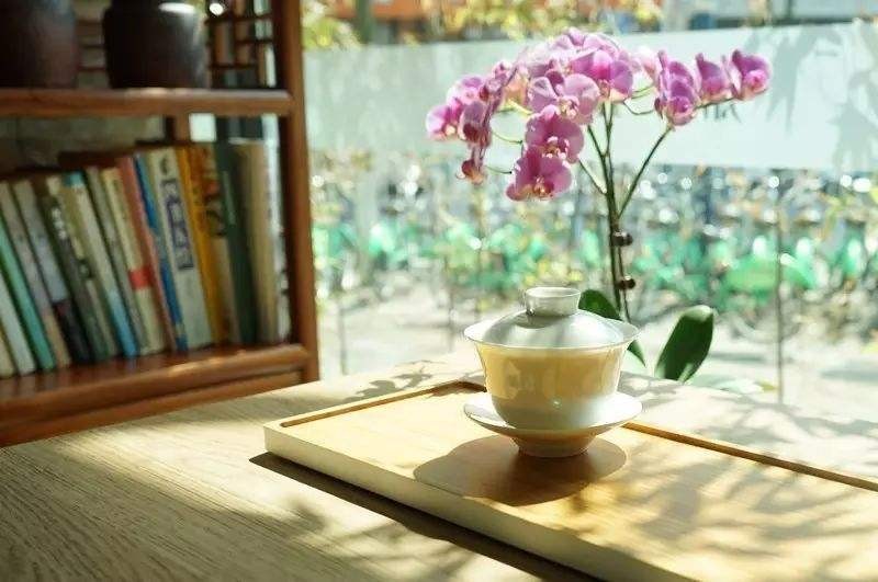 *诗词小辑！ 作者 王爱君 河北秦皇岛人【冰心文化传媒】（图16）