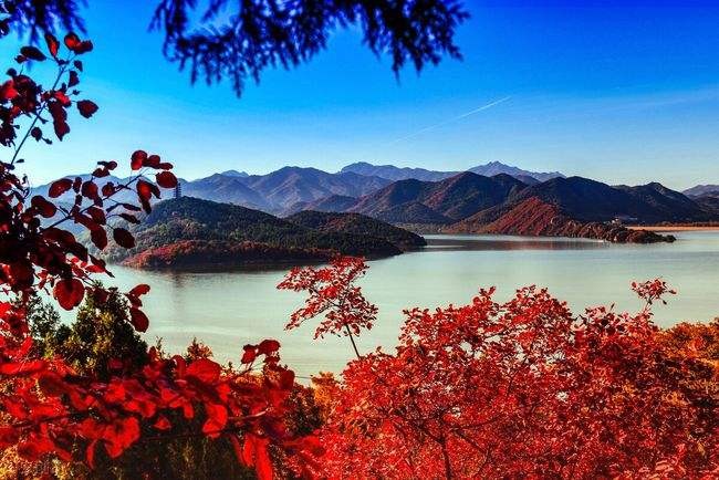 *诗词小辑！ 作者 王爱君 河北秦皇岛人【冰心文化传媒】（图25）