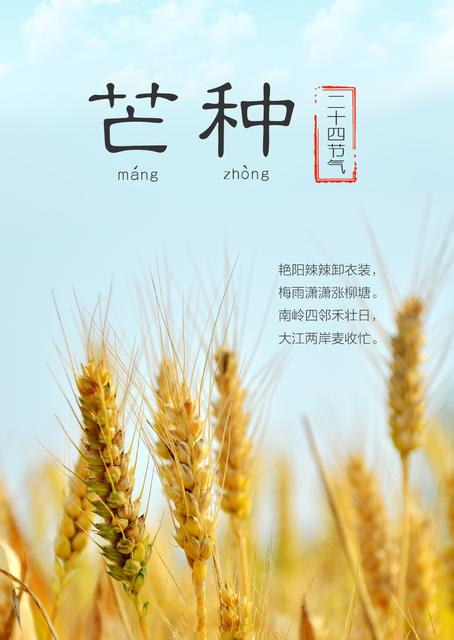 七绝 芒种（外三首）文／张昕（图3）