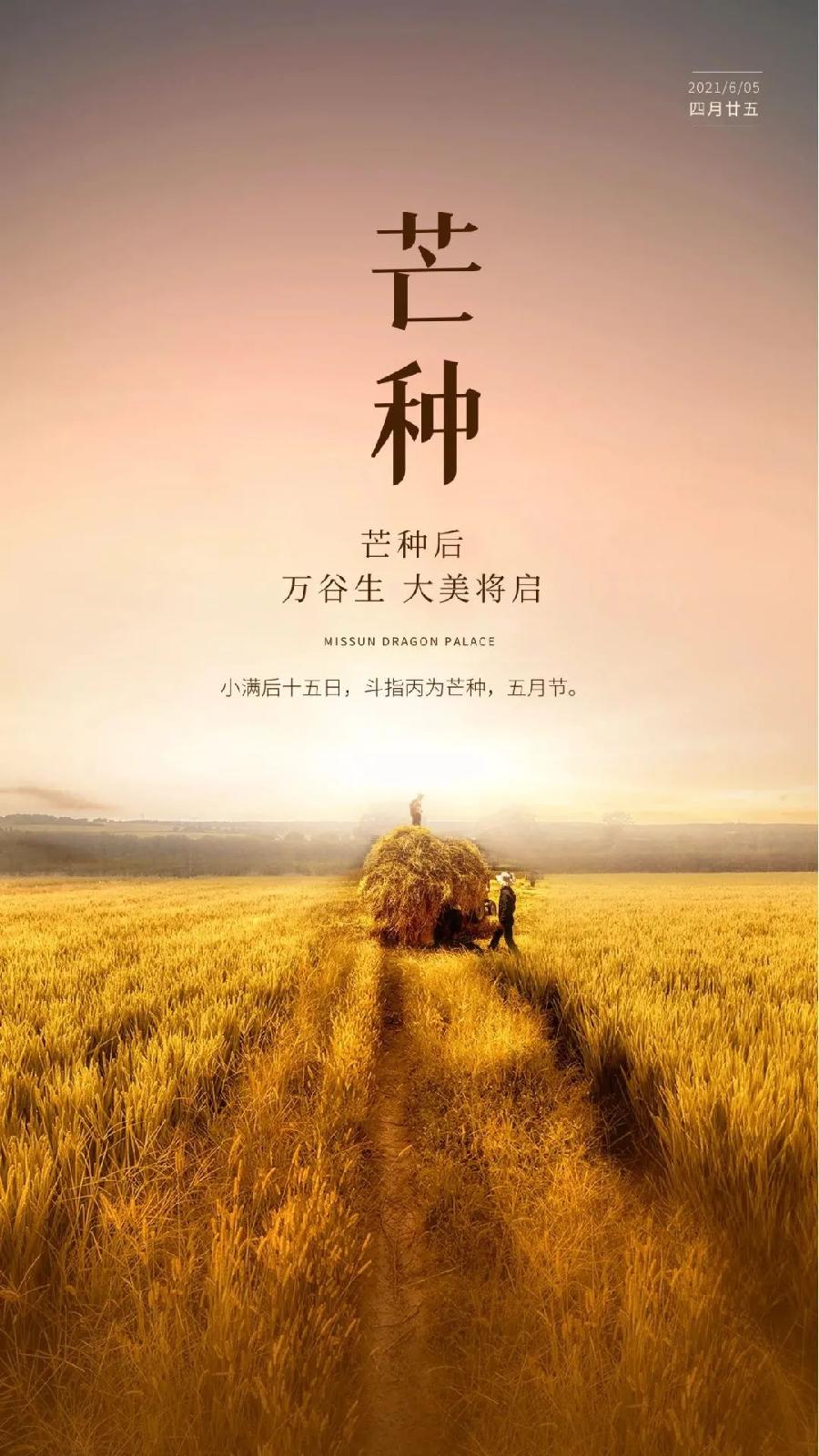七绝 芒种（外三首）文／张昕