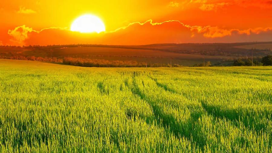 香港文学艺术创研会火凤凰诗社（01）期｜作者 山抹微云·婉柔·火凤凰｜海外头条（图6）