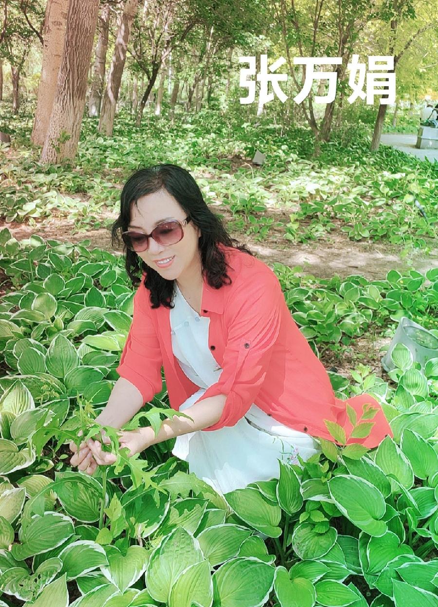 张万娟诵读：中国声音 作者/碑林路人（图4）