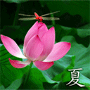【潇湘文学社】潇湘问梅诗社《夏日闲吟》(总361期)(图10)