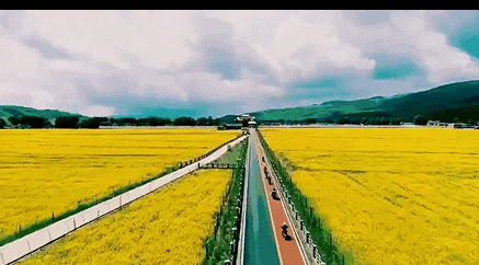 【潇湘文学社】潇湘问梅诗社《夏日闲吟》(总361期)(图20)