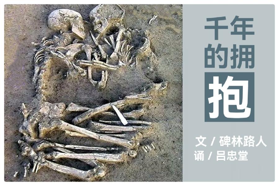 千年的拥抱ll作者:碑林路人ll朗诵:吕忠堂(图2)