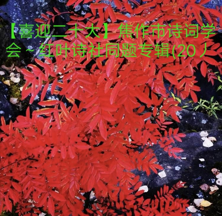 【喜迎二十大】焦作诗词学会~红叶诗社同题专辑(20)
