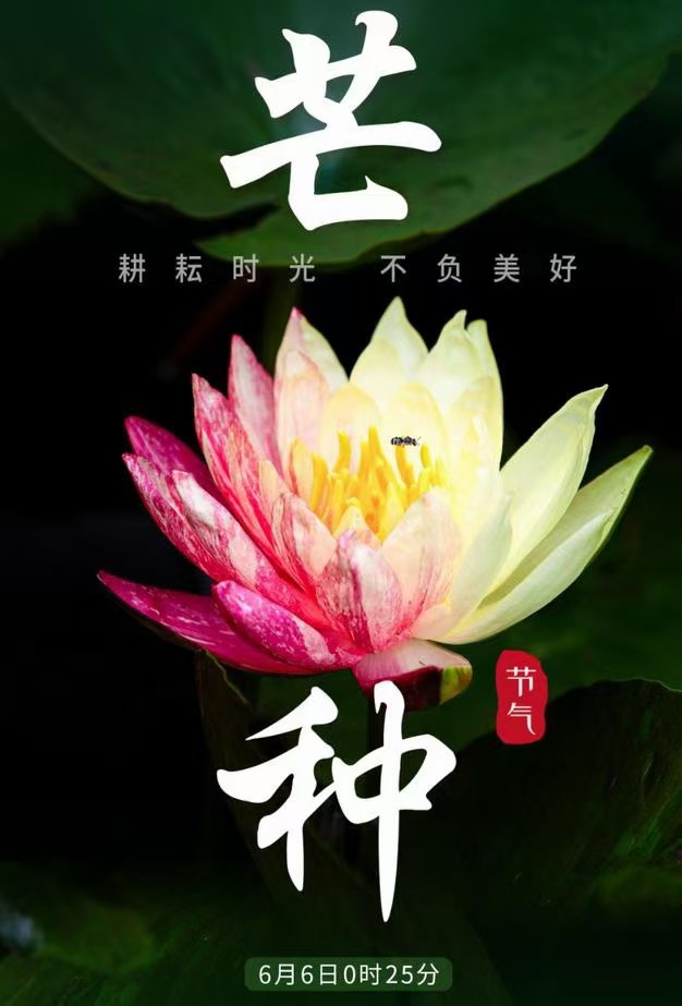 *高考*(外二首)文/红叶(甘肃)【冰心文化传媒】(图4)