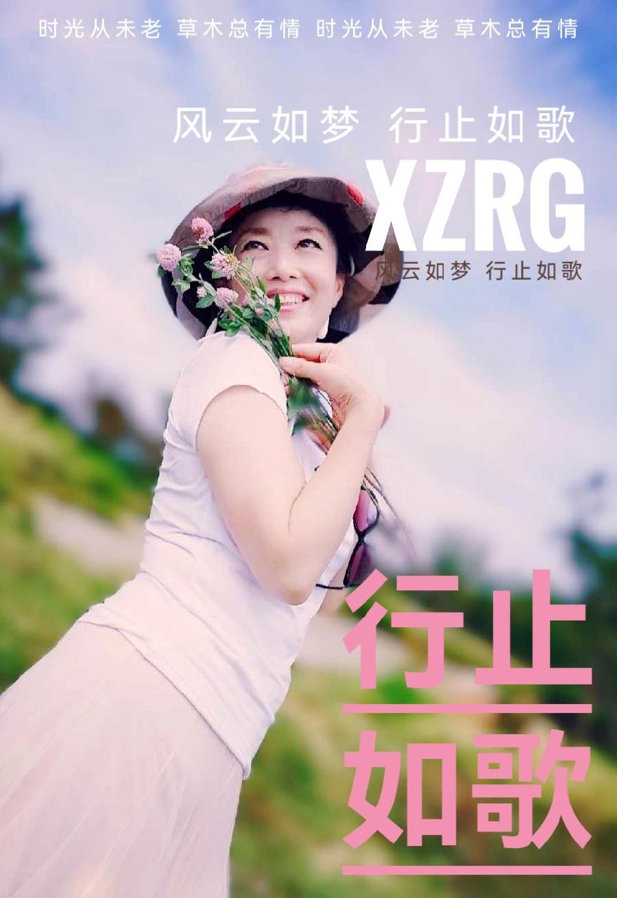 张凤玲诗歌选读《 不约而同…… 》朗诵：老菩提（图6）