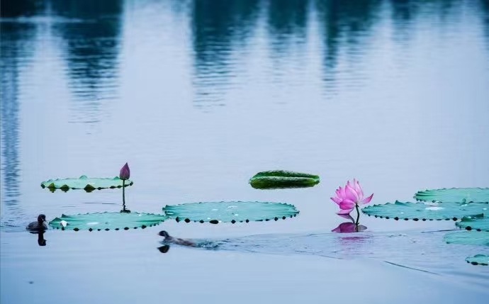 《江南诗絮-诗评栏》(图4)
