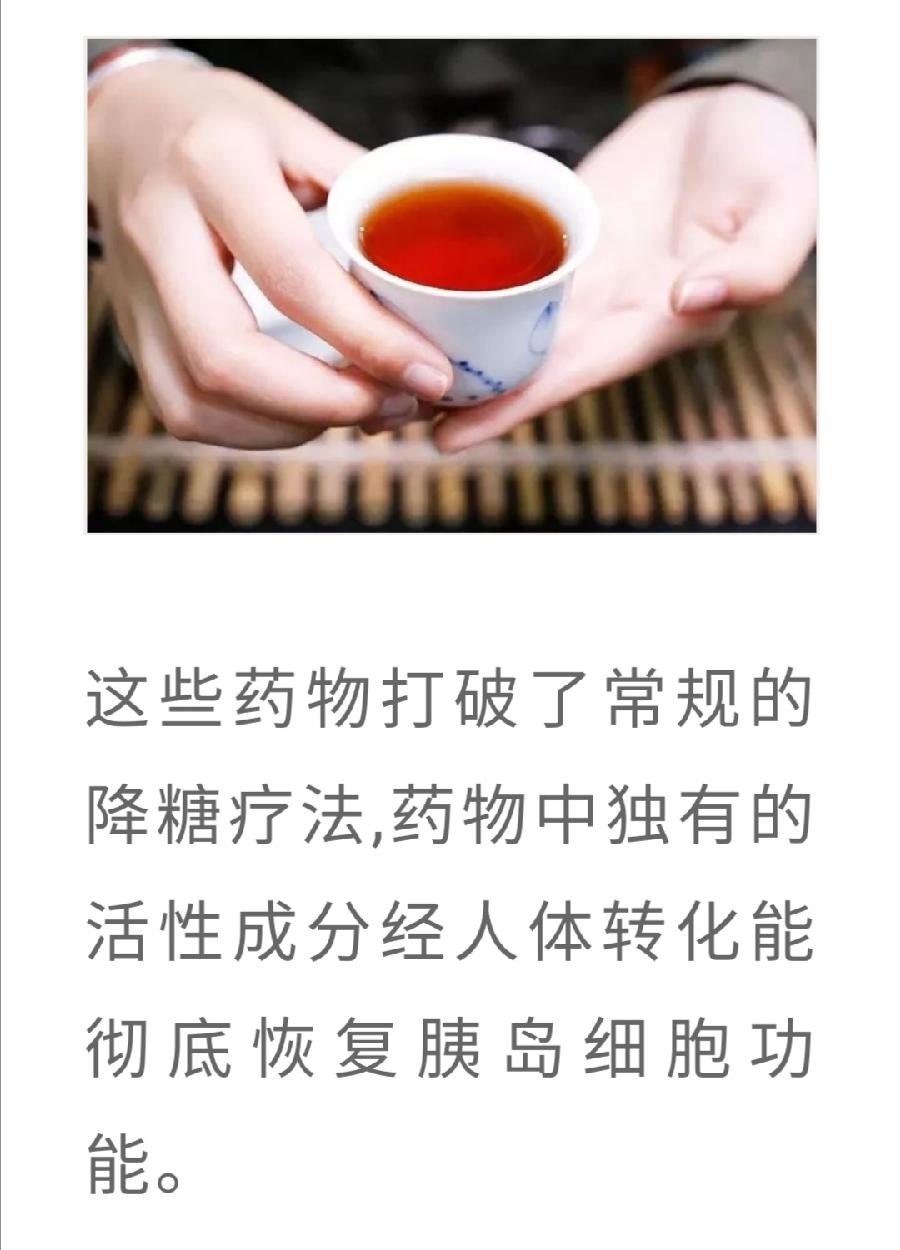 普洱熟茶——降糖的天然“胰岛素”（图14）