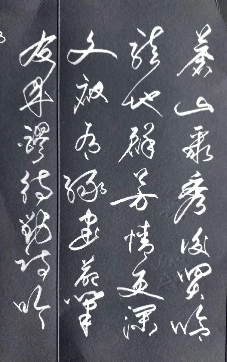 杨乃琦先生喜庆耋寿文/李忠共（图6）