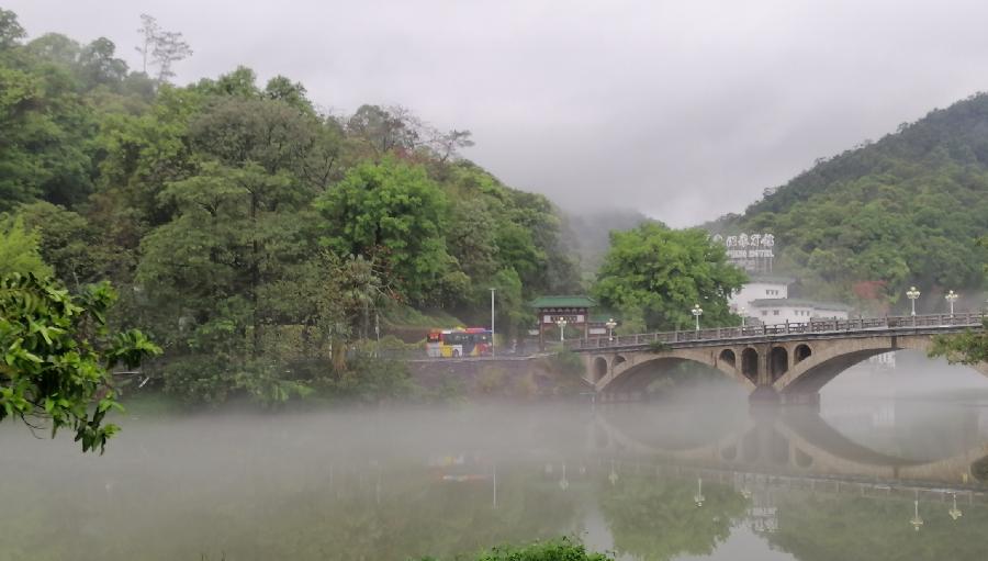 凤凰花谣 ／江冲（图6）
