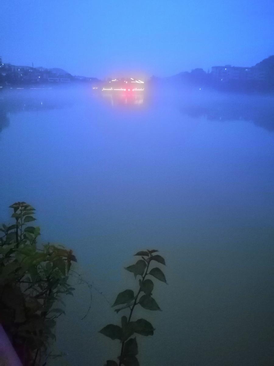 凤凰花谣 ／江冲（图7）