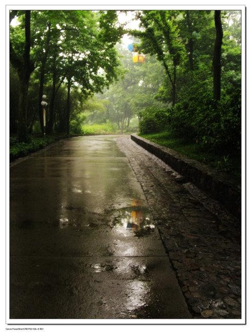 *盼雨*作者 任国璠(甘肃永登)【冰心文化传媒】(图3)