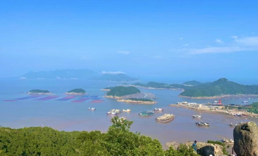 榕城兰花诵读:喜欢(图4)
