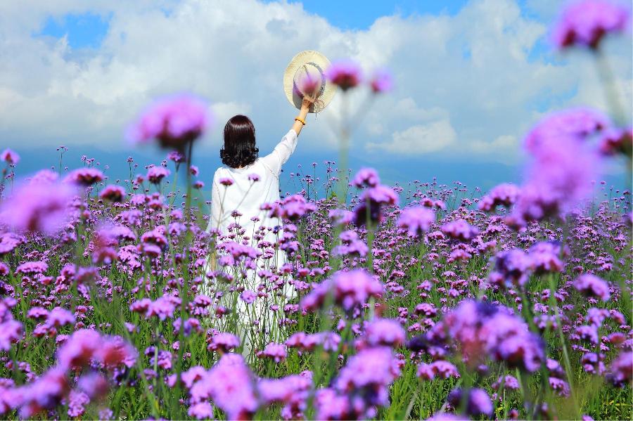 【新山东文学社】散文诗《熟悉的六月花事，陌生的奇妙向往》作者/野草 主播/清风（图8）