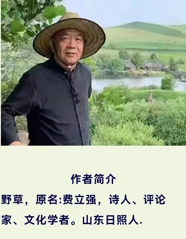 【新山东文学社】散文诗《熟悉的六月花事，陌生的奇妙向往》作者/野草 主播/清风（图10）