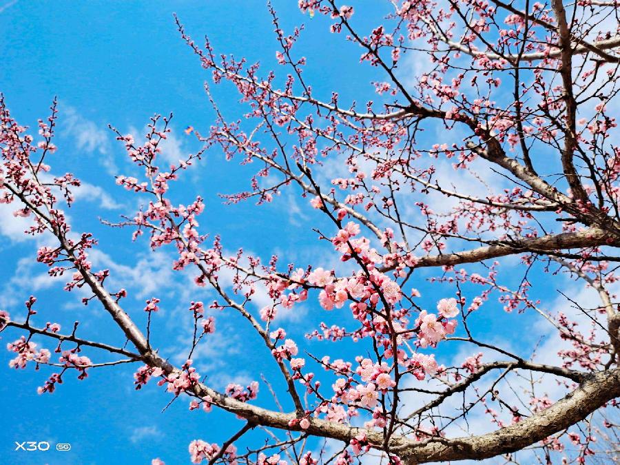 【神州源流诗苑】第658期[优秀近体诗]周刊