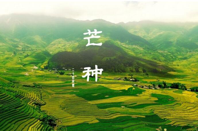 【神州源流诗苑】第658期[优秀近体诗]周刊（图10）