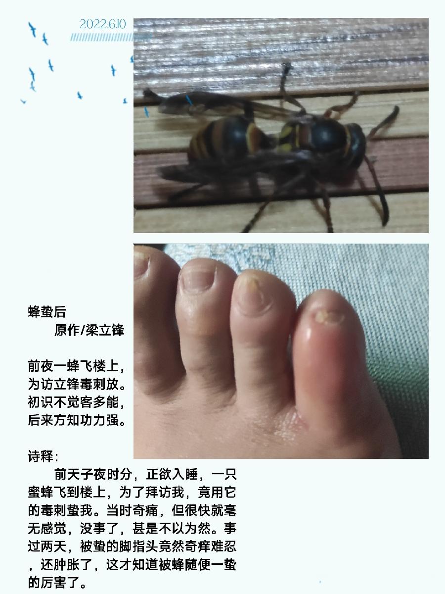 蜂蛰后 原作/梁立锋（图2）