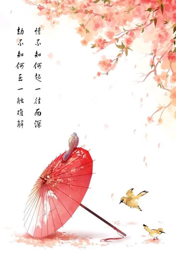 洁净温馨吐芳菲,温情满屋醉心房——记哈尔滨市松北区松北一路邮政局的优质服务风貌,作者琴瑟在御