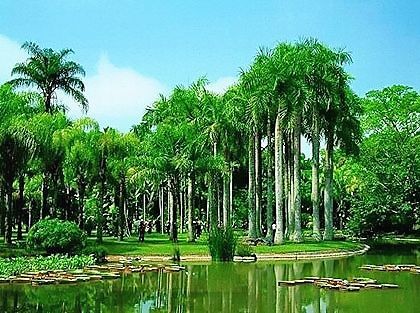 【民族风情】【九江文学社：北京头条】《傣族风情》图文系列 作者/吴生泉（原创首发）（图7）