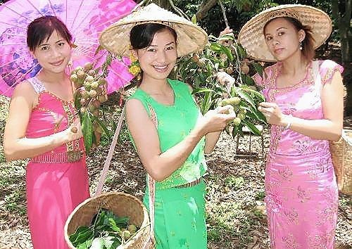 【民族风情】【九江文学社：北京头条】《傣族风情》图文系列 作者/吴生泉（原创首发）（图18）