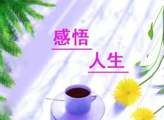 感悟人生(连载05) 作者‖ 周大策(图2)