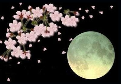 【九江文学社：北京头条】《今夜，我在月光下为你吟诗》文/放飞（图2）