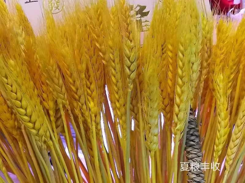 【名家专刊】【九江文学社:北京头条】李小燕老师诗词欣赏(图10)