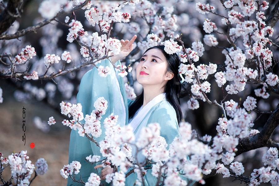 〔诗词小辑〕张洪艳（河北）【冰心文化传媒】制作 冰心（图9）
