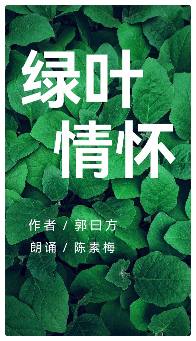 郭曰方诗歌两首《绿叶情怀》《昙花心语》金牌主播京波&陈素梅朗诵(图3)