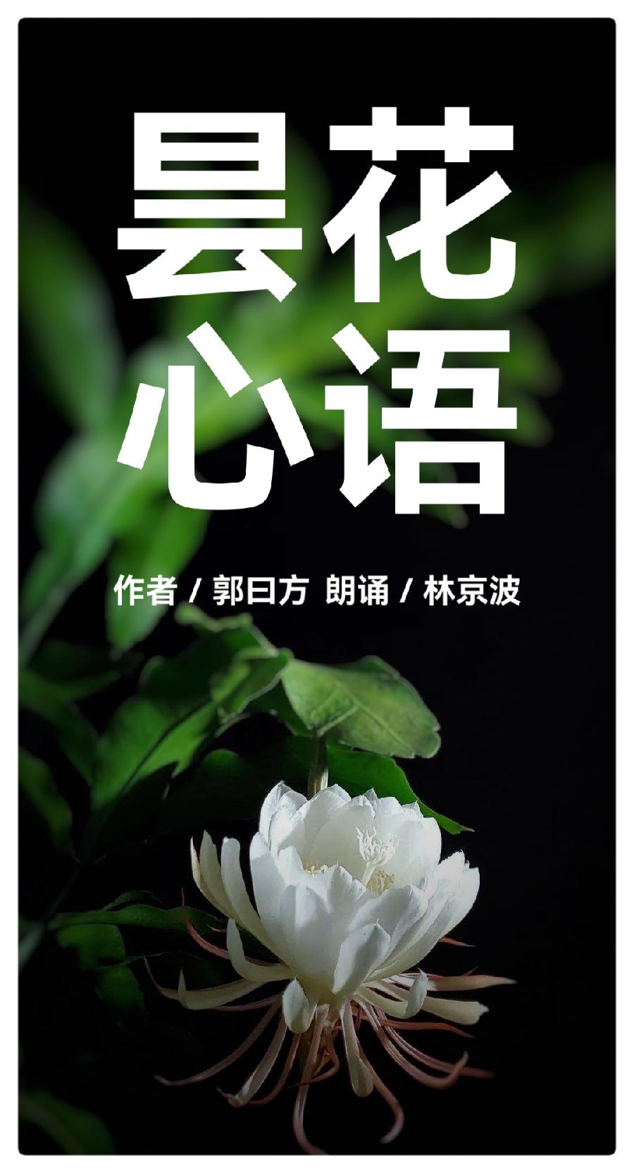 郭曰方诗歌两首《绿叶情怀》《昙花心语》金牌主播京波&陈素梅朗诵(图7)