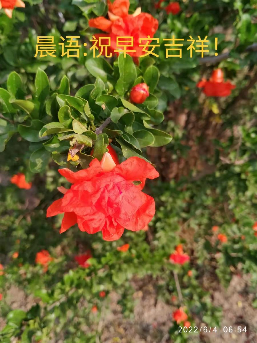 《故道文化•副刊》第一一二期：马丽珺诗词