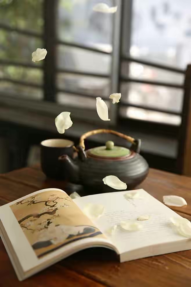 【梅园之音】听聽琴朗诵《左手茶香是烟火,右手书香是清欢》作者:梅若花开(图3)