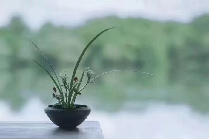 《江南诗絮0531-现代》(图5)