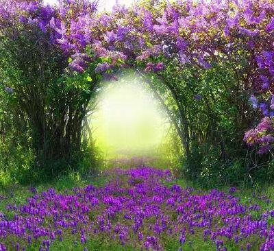 《江南诗絮0531-现代》(图27)