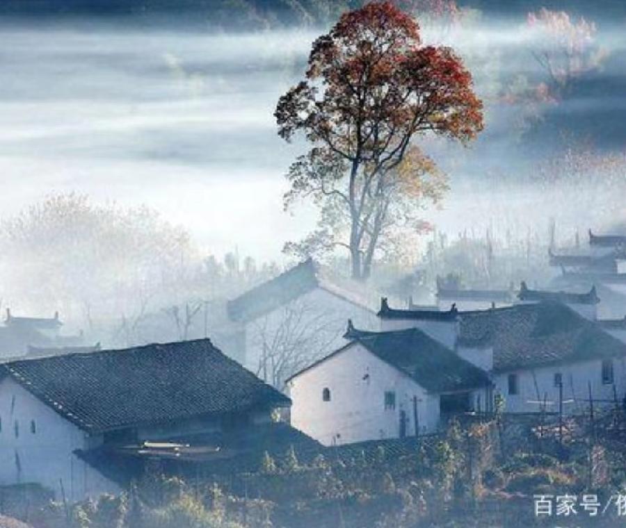 清平乐•思乡 文/袁兆姝
