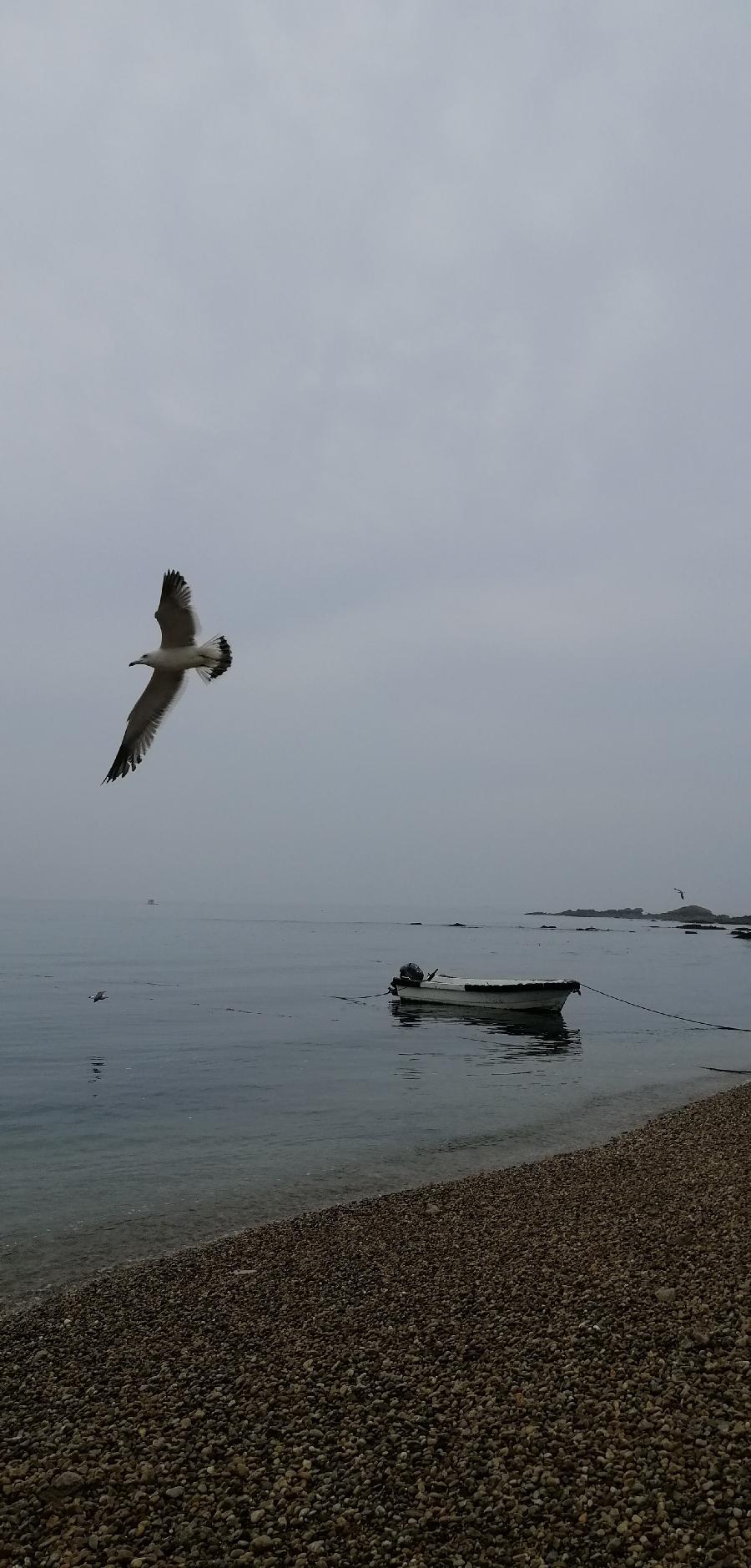 海子种诗(组诗)天空/陕西(图4)