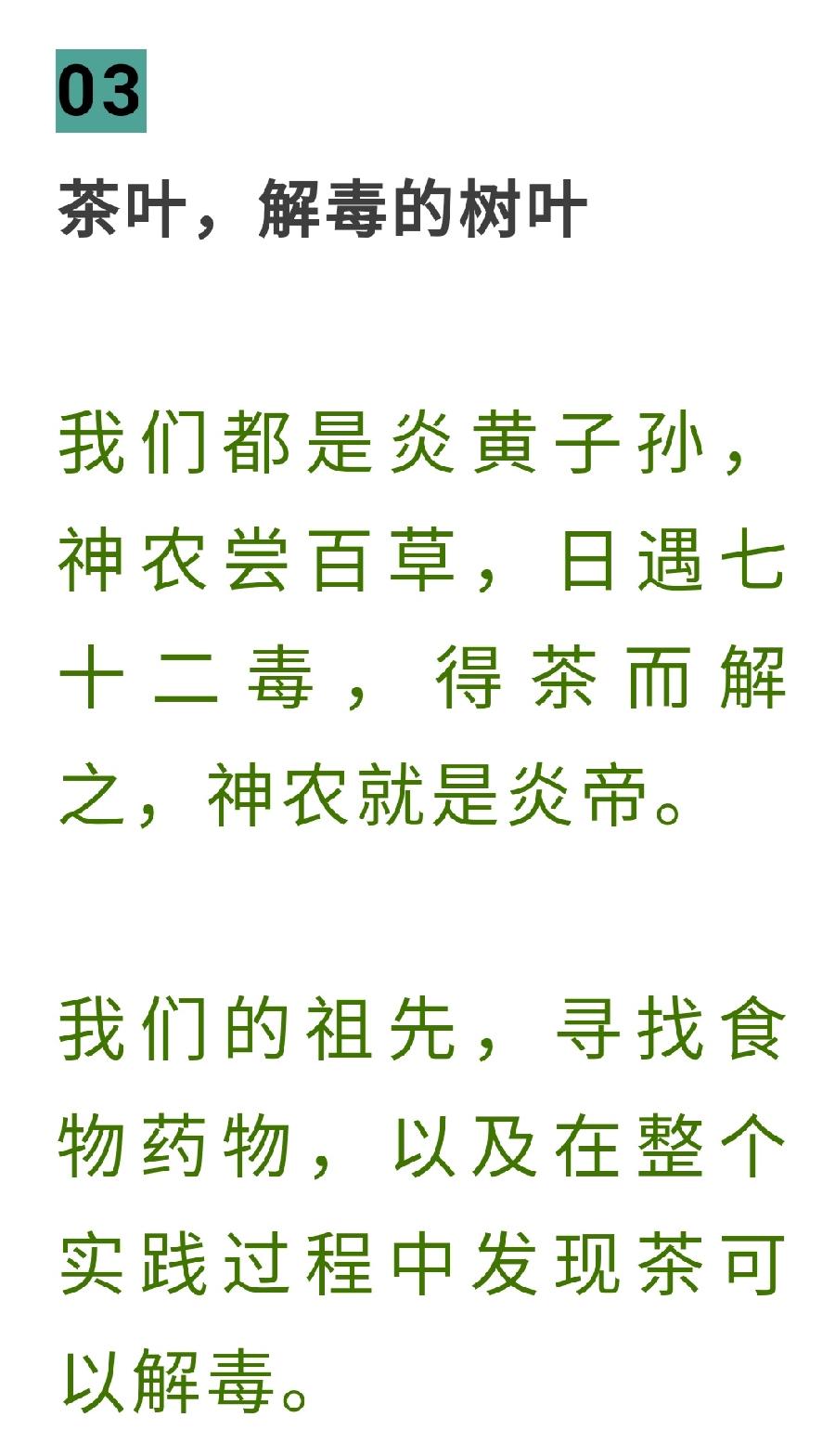 茶叶又火了，抗病毒，茶界院士这么说！（图13）